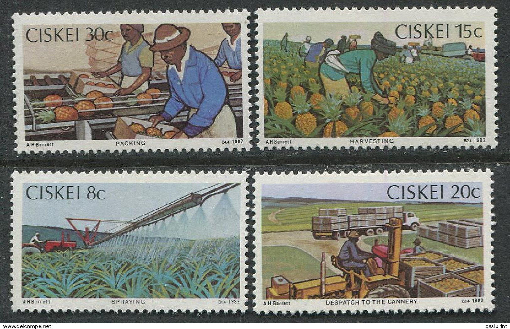 Ciskei:Unused Stamps Serie Packing, Harvesting, Spraying, Despatch To The Cannery, 1982, MNH - Ciskei