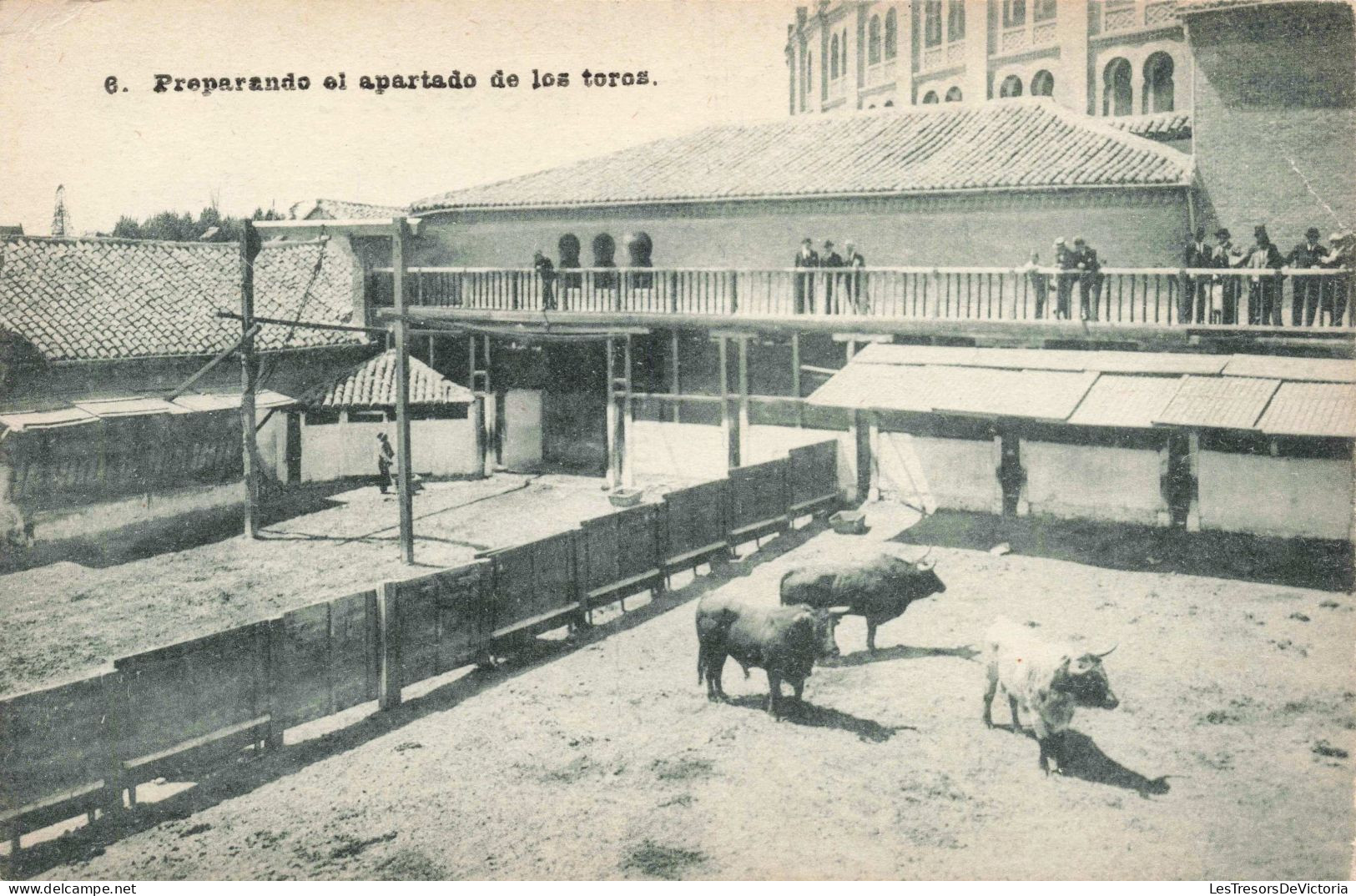 ESPAGNE - Preparando El Apartado De Los Toros  - Carte Postale Ancienne - Other & Unclassified