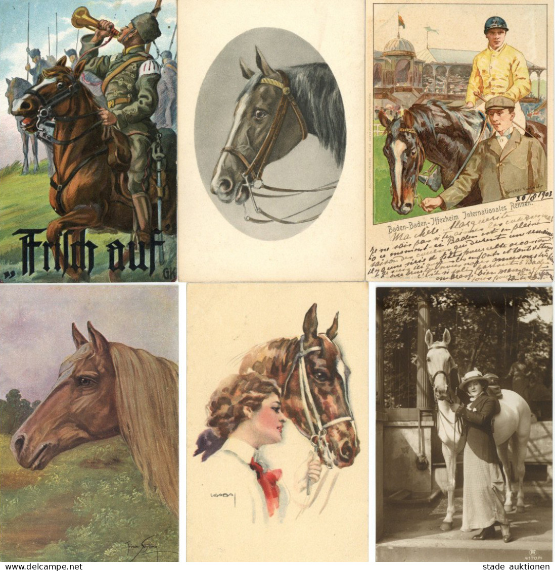 Pferd Album Mit über 160 Ansichtskarten Zum Thema Pferd Und Pferdesport I-II - Horses