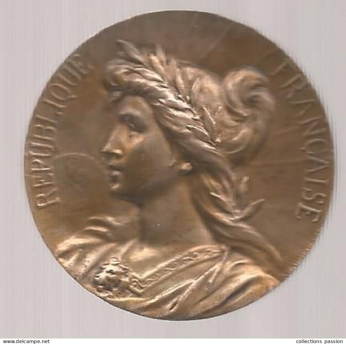 Médaille, Comice Agricole De L'arrondissement De CHINON, Indre Et Loire, Graveur: S. KINSBURGER, 50 Gr., Frais Fr 3.35 E - Firma's
