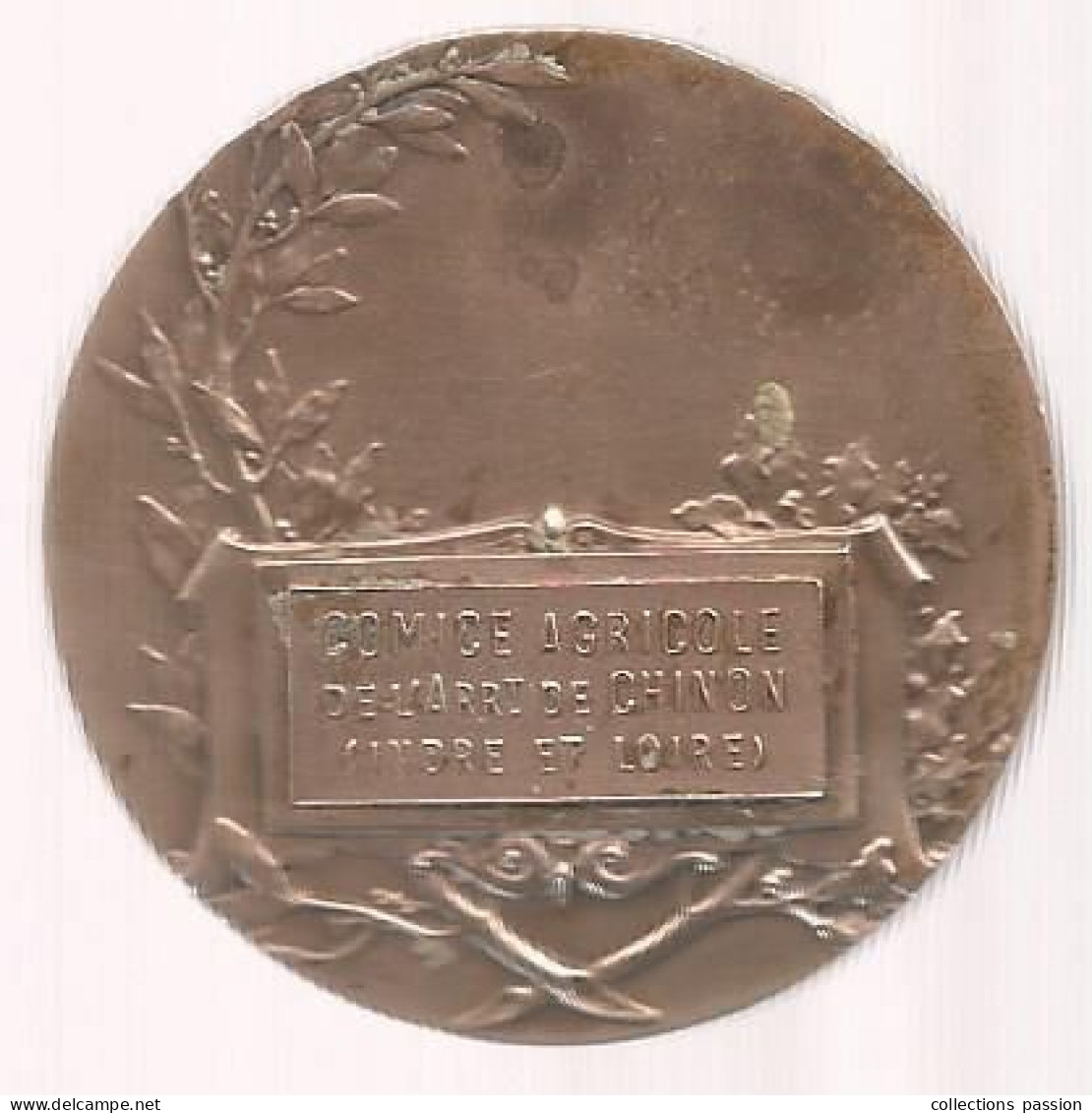 Médaille, Comice Agricole De L'arrondissement De CHINON, Indre Et Loire, Graveur: S. KINSBURGER, 50 Gr., Frais Fr 3.35 E - Profesionales / De Sociedad