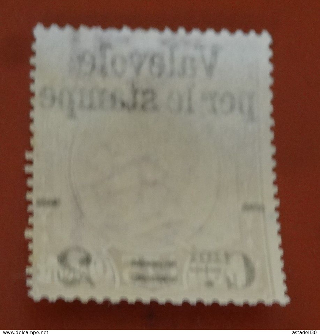 ITALIA - ITALIE Parcel Stamp 2c / 1.75c Marron - 1890, Mint NO GUM  ............ CL1-1-1b - Colis-postaux