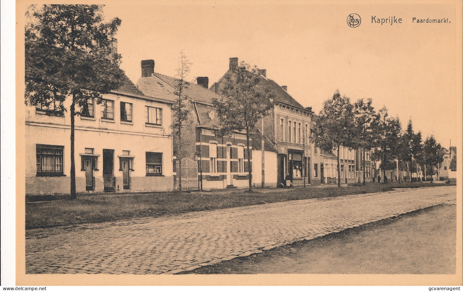 KAPRIJKE  PAARDEMARKT      2 SCANS - Kaprijke