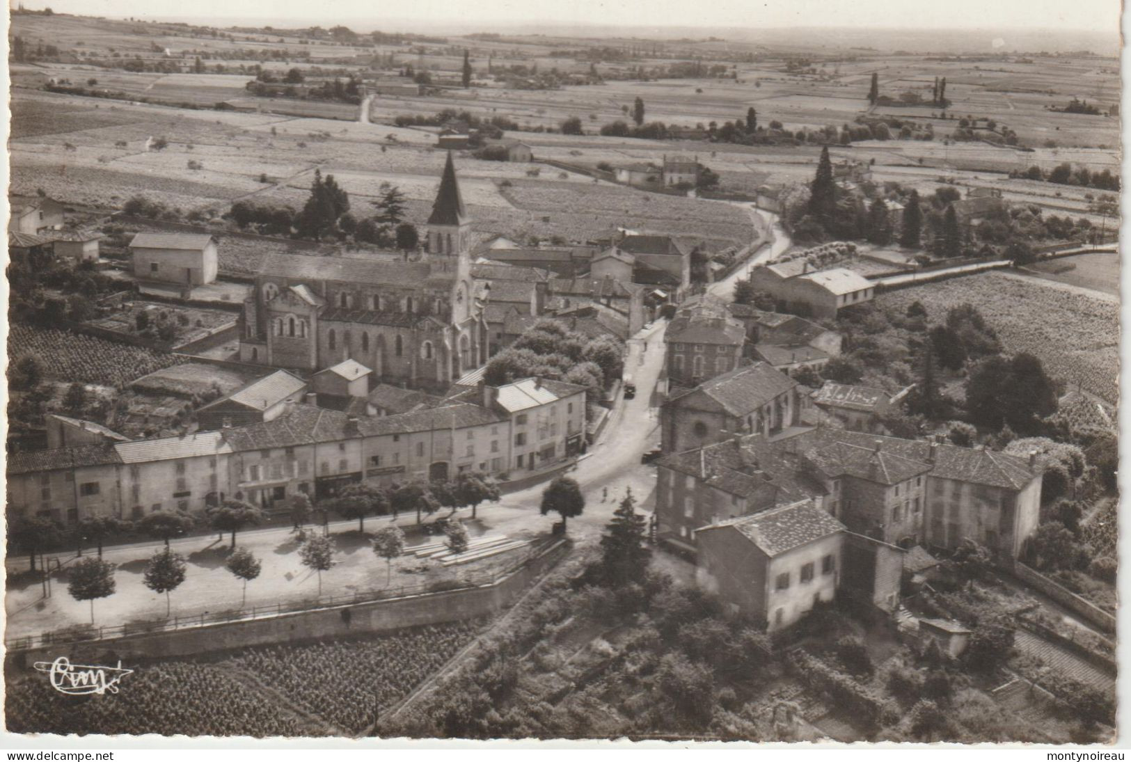 Rhône :  JULIENAS  : Vue  Vers  Est - Julienas