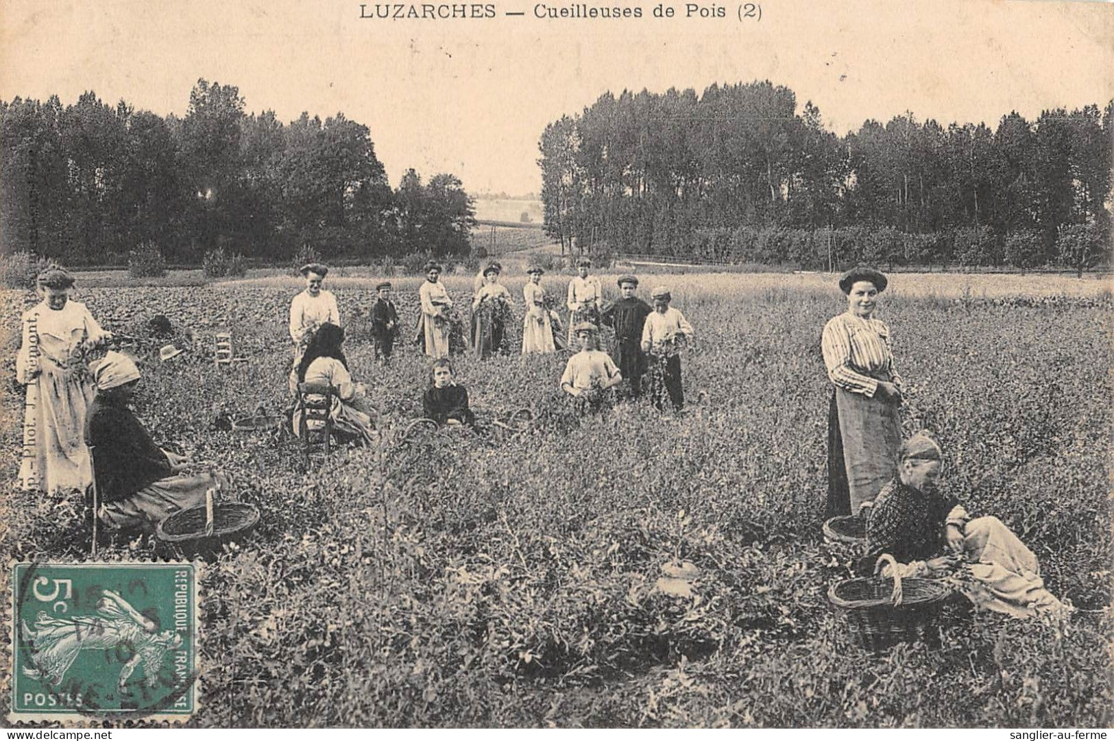 CPA 95 LUZARCHES / CUEILLEUSES DE POIS / Cliché Rare - Luzarches