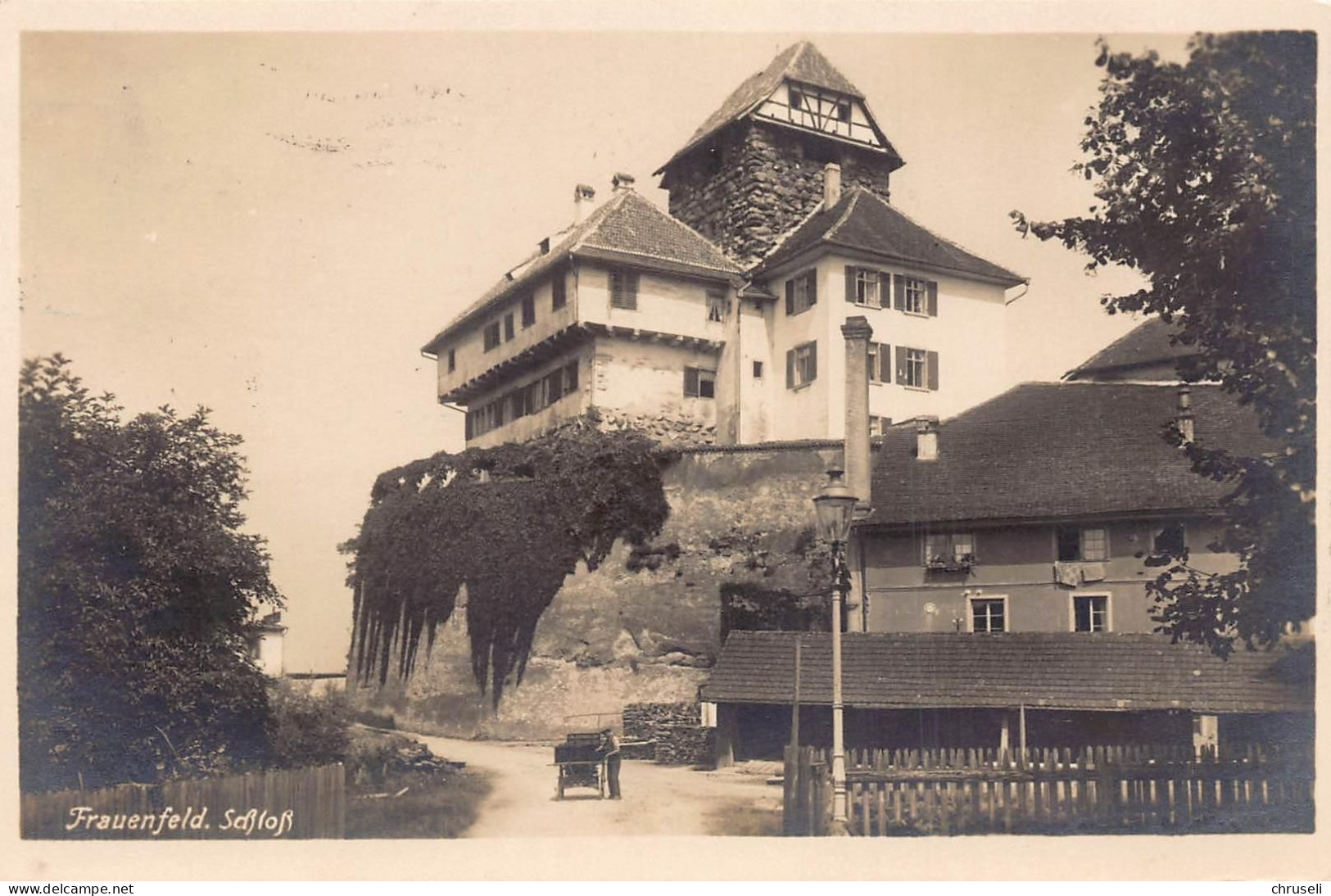 Frauenfeld Schloss - Frauenfeld