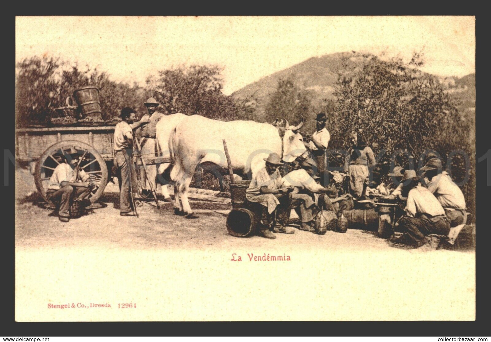 Italy Toscane Firenze La Vendemmia Harvest Wine Vines Stunning Postcard Ca1900 - Verzamelingen & Kavels