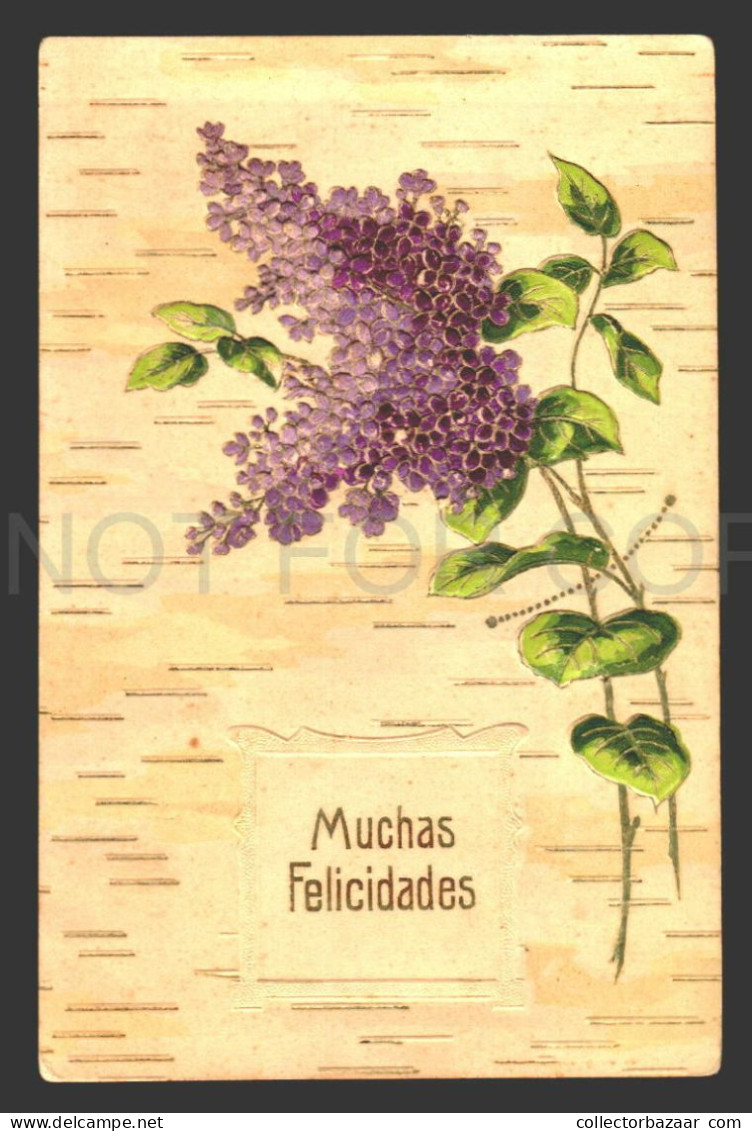 lot of 7 postcards embossed New Year 1908 etc greetings ca 1900 flowers clovers