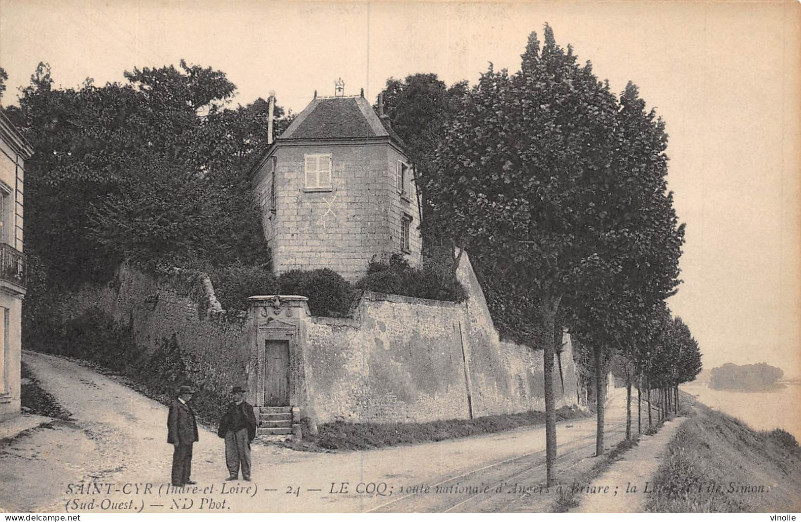 23-P-FO-4249 : SAINT-CYR-SUR-LOIRE. LE COQ - Saint-Cyr-sur-Loire