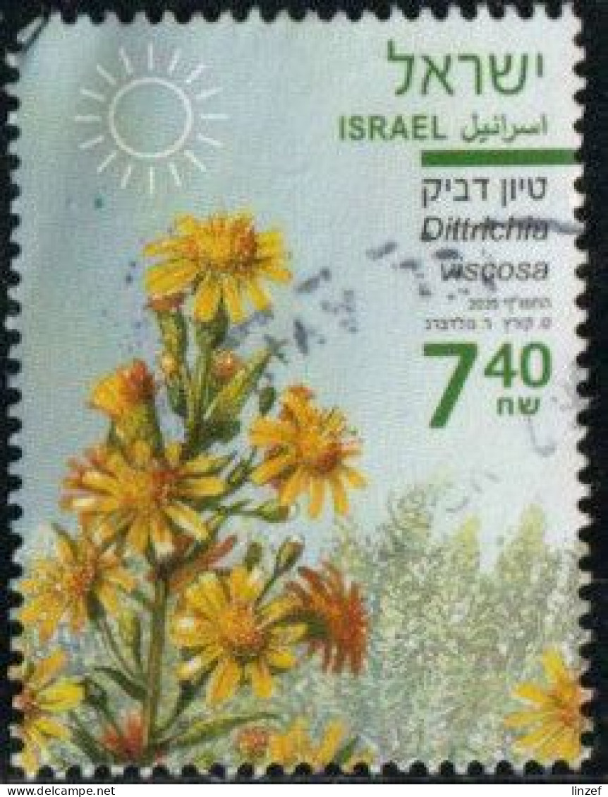Israël 2020 Yv. N°2637 - Inule Visqueuse - Oblitéré - Usados (sin Tab)