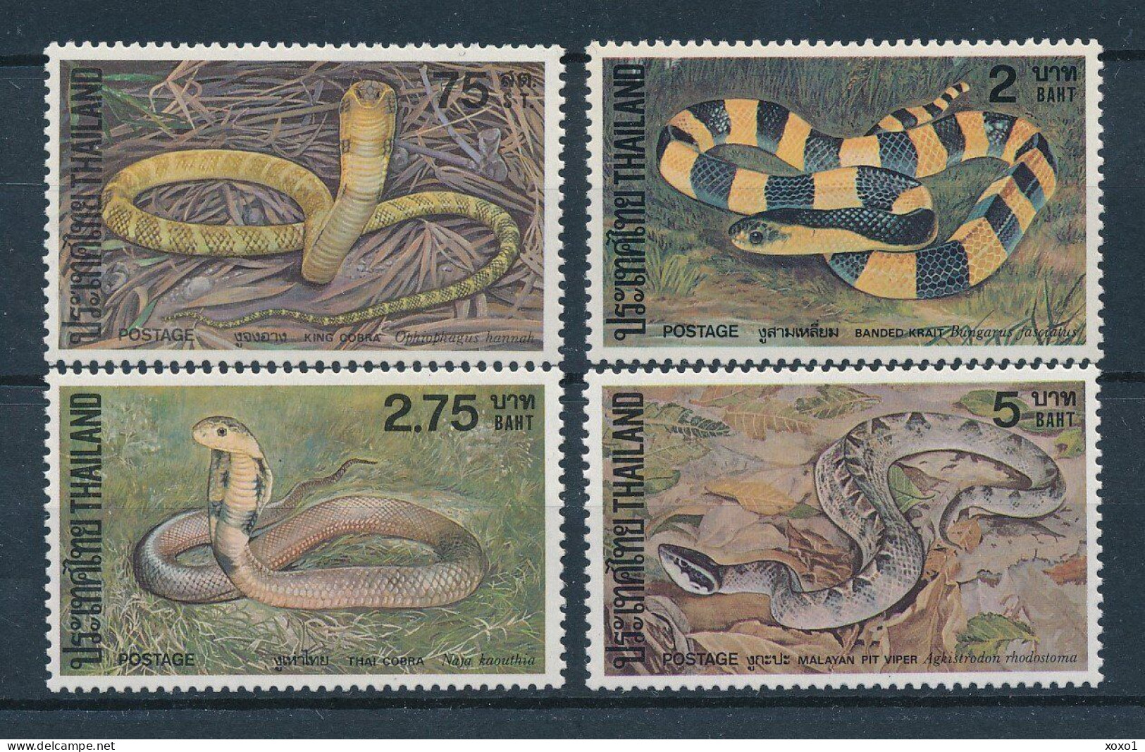Thailand 1981 MiNr. 989 - 992 Reptiles, Snakes, King Cobra, Banded Krait, Malayan Pit Viper  4v MNH** 7,00 € - Serpents
