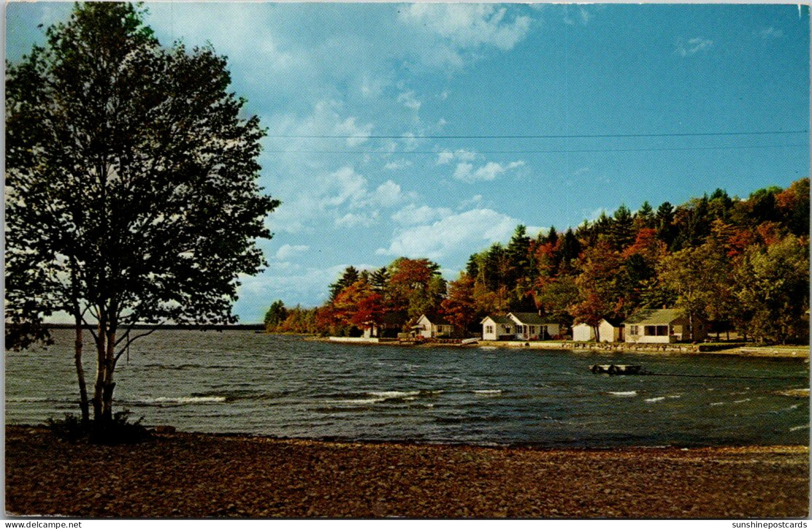 Canada New Brunswick Harvey Station Autumn On The Banks Of Harvey Lake - Andere & Zonder Classificatie