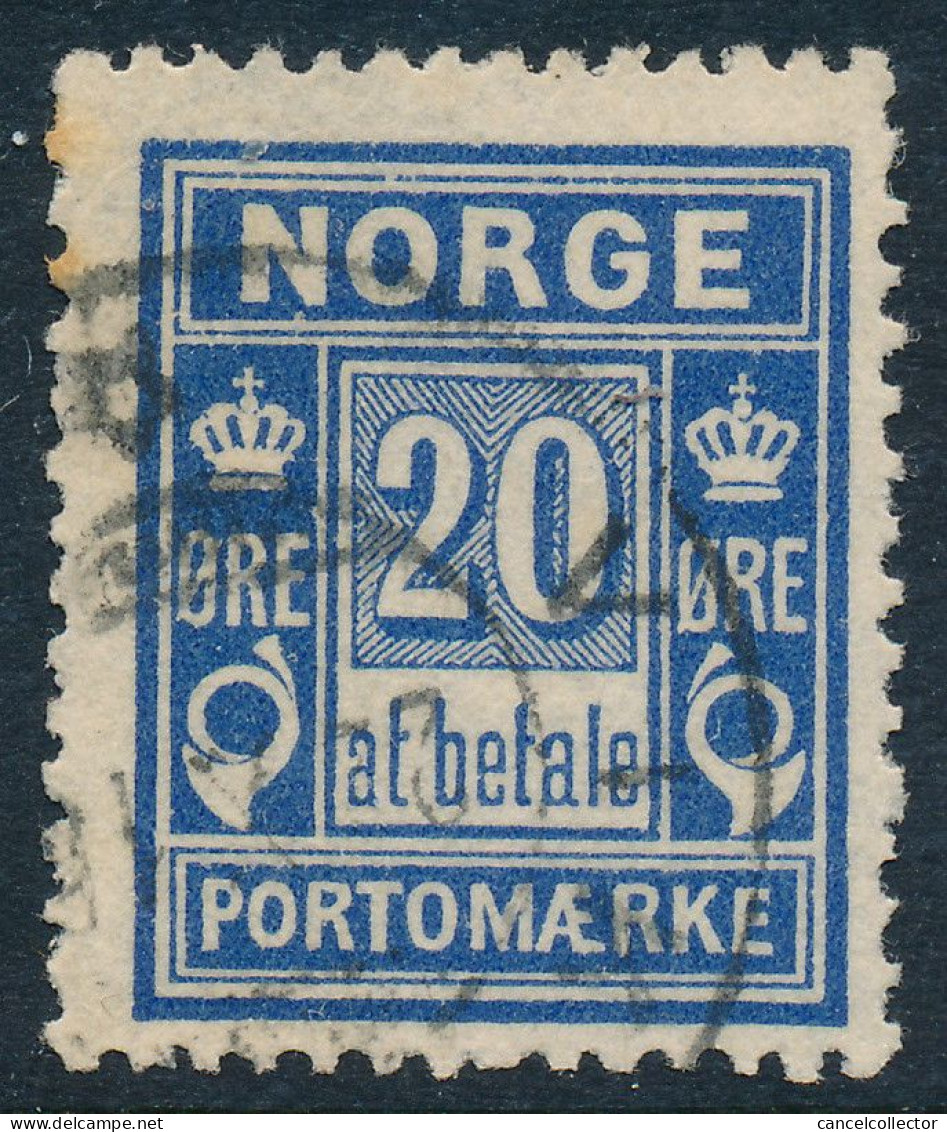 Norway Norvège Norge 1899: 20ø Blue Porto, Fine Used (DCNO-00125) - Usados