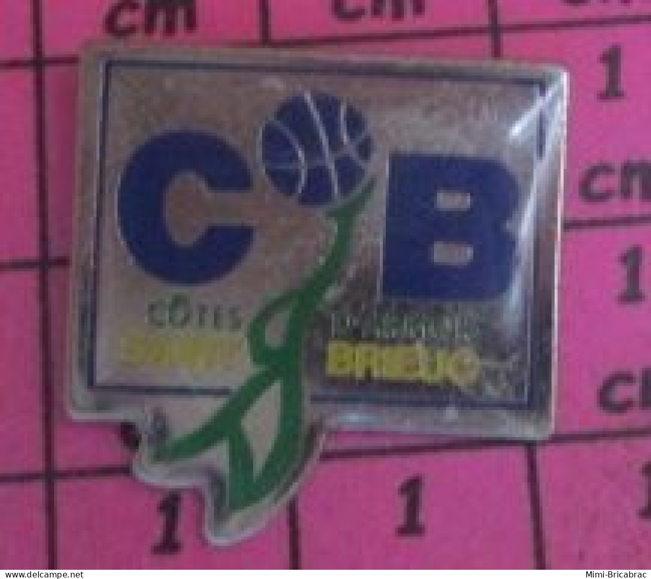 516B  Pin's Pins / Beau Et Rare / SPORTS / BASKET BALL COTES D'ARMOR  ST BRIEUC - Basketball