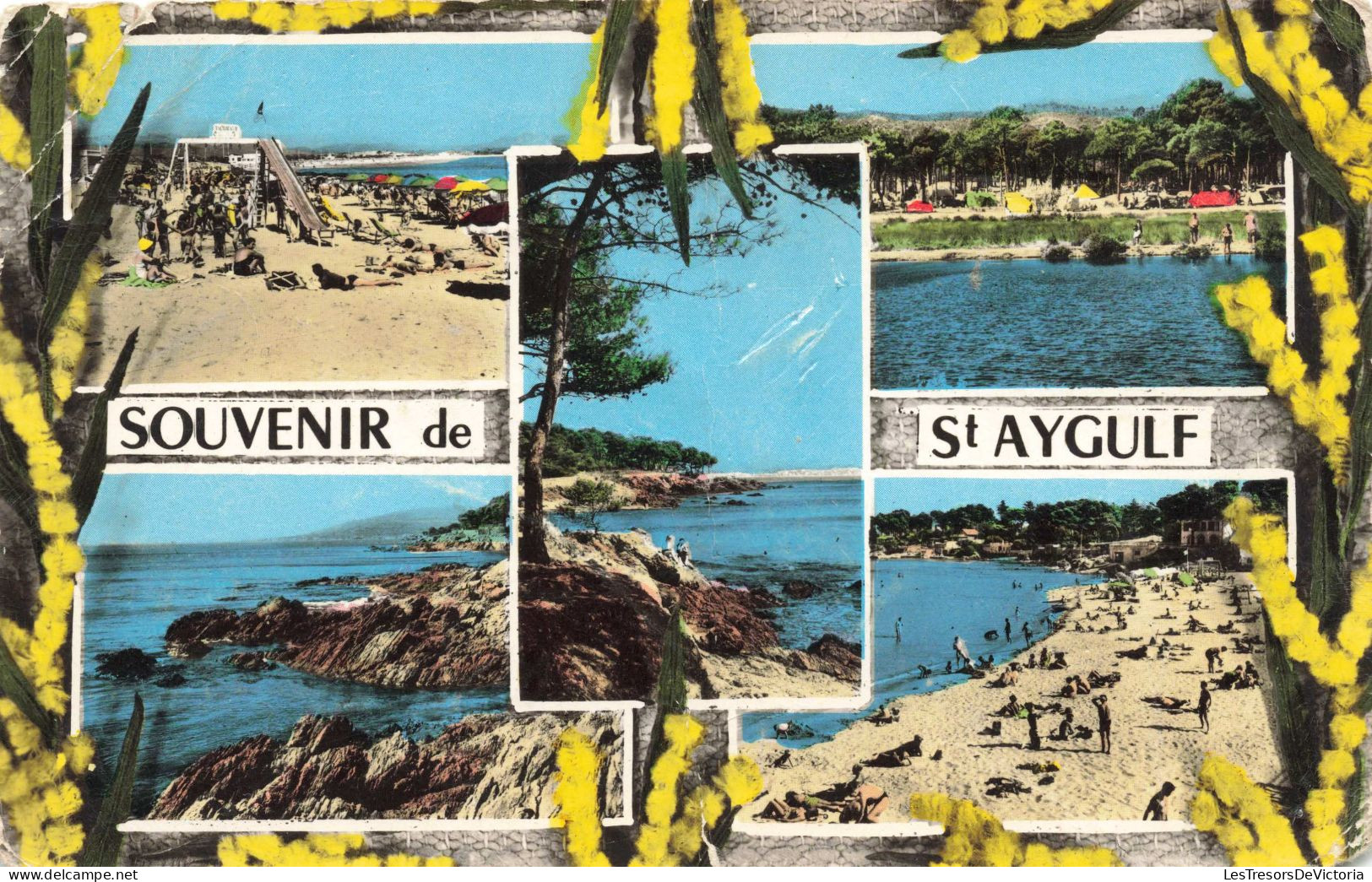 FRANCE - Souvenir De St Aygulf - La Plage - Le Campus - Les Rochers - Animé - Carte Postale Ancienne - Saint-Aygulf