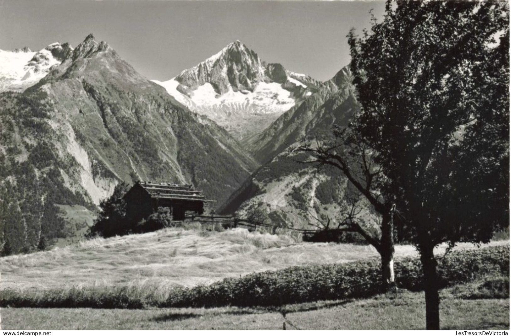 SUISSE - Unterbaäch - Sommerlandschaft Bei Unterbaäch - Wallis Bietschhorn - Carte Postale Ancienne - Other & Unclassified