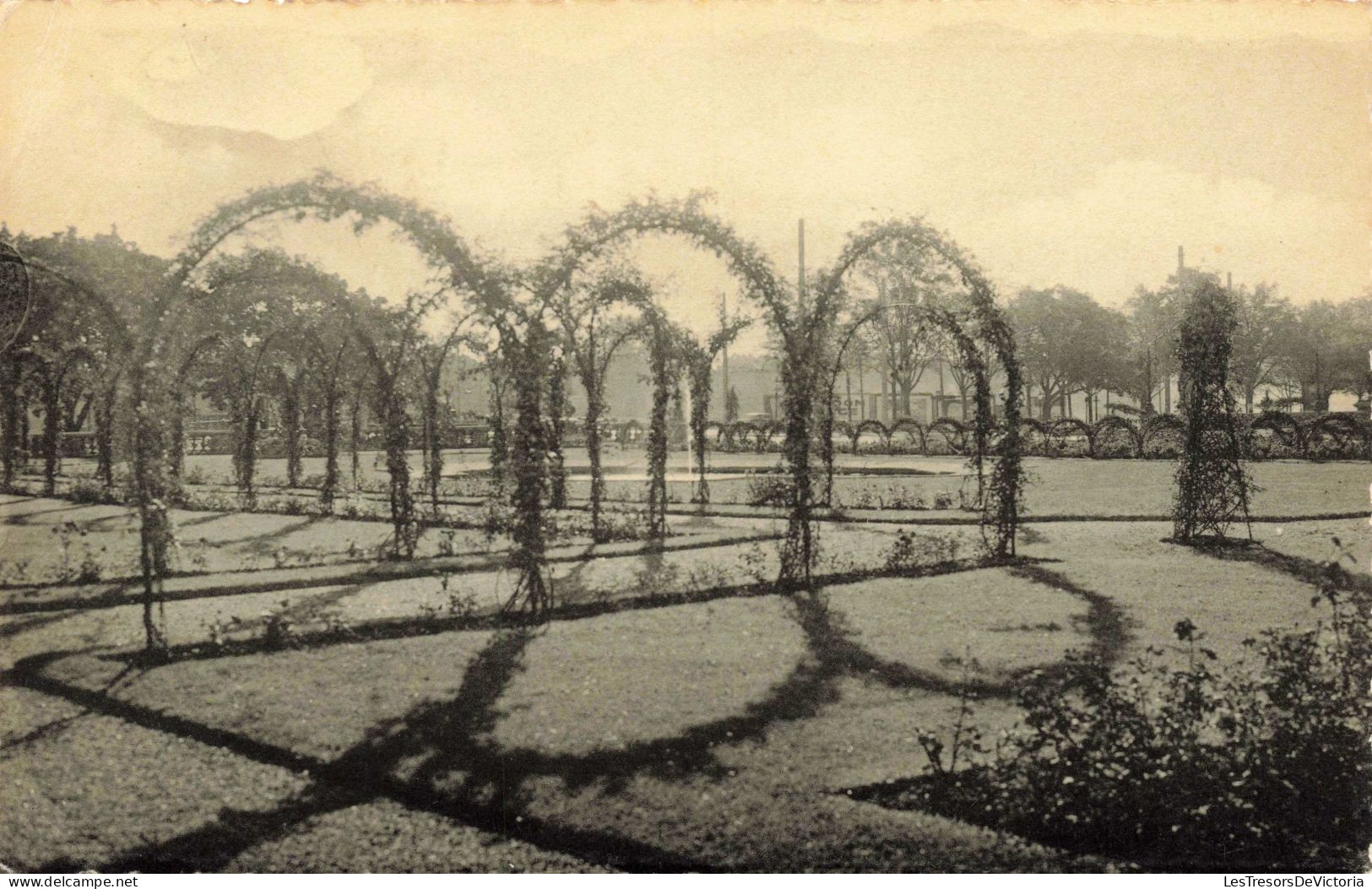 BELGIQUE - Liège - Les Roseraies Des Terrasses D'Avroy - Carte Postale Ancienne - Lüttich