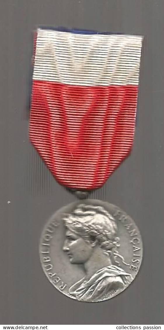 Médaille, Ministère Du Travail Et De La Sécurité Sociale,1966, Graveur: Borrel, Argent 1 Er Titre, Ruban,frais Fr 1.95 E - Firma's