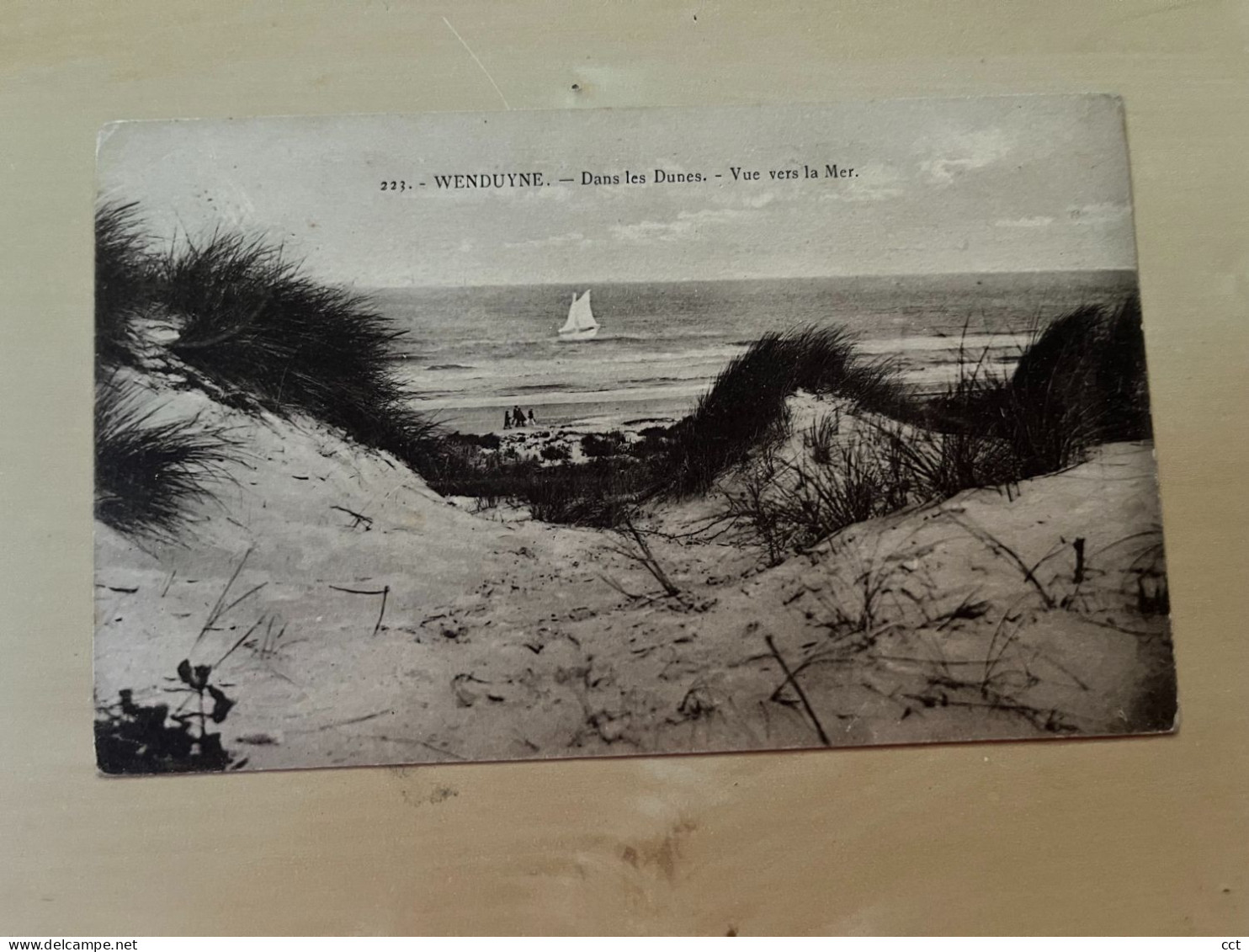 Wenduyne  Wenduine   Dans Les Dunes  Vue Vers La Mer    Edit Henri Georges N° 223 - Wenduine