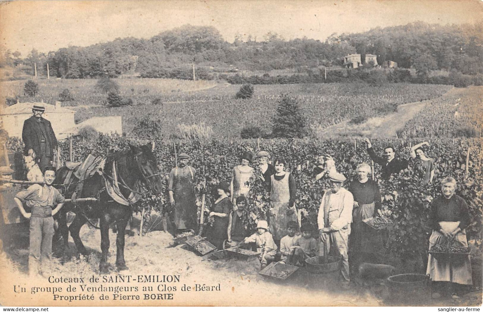 CPA 33 COTEAUX DE SAINT EMILION / UN GROUPE DE VENDANGEURS AU CLOS DE BEARD / PROPRIETE PIERRE BORIE - Andere & Zonder Classificatie