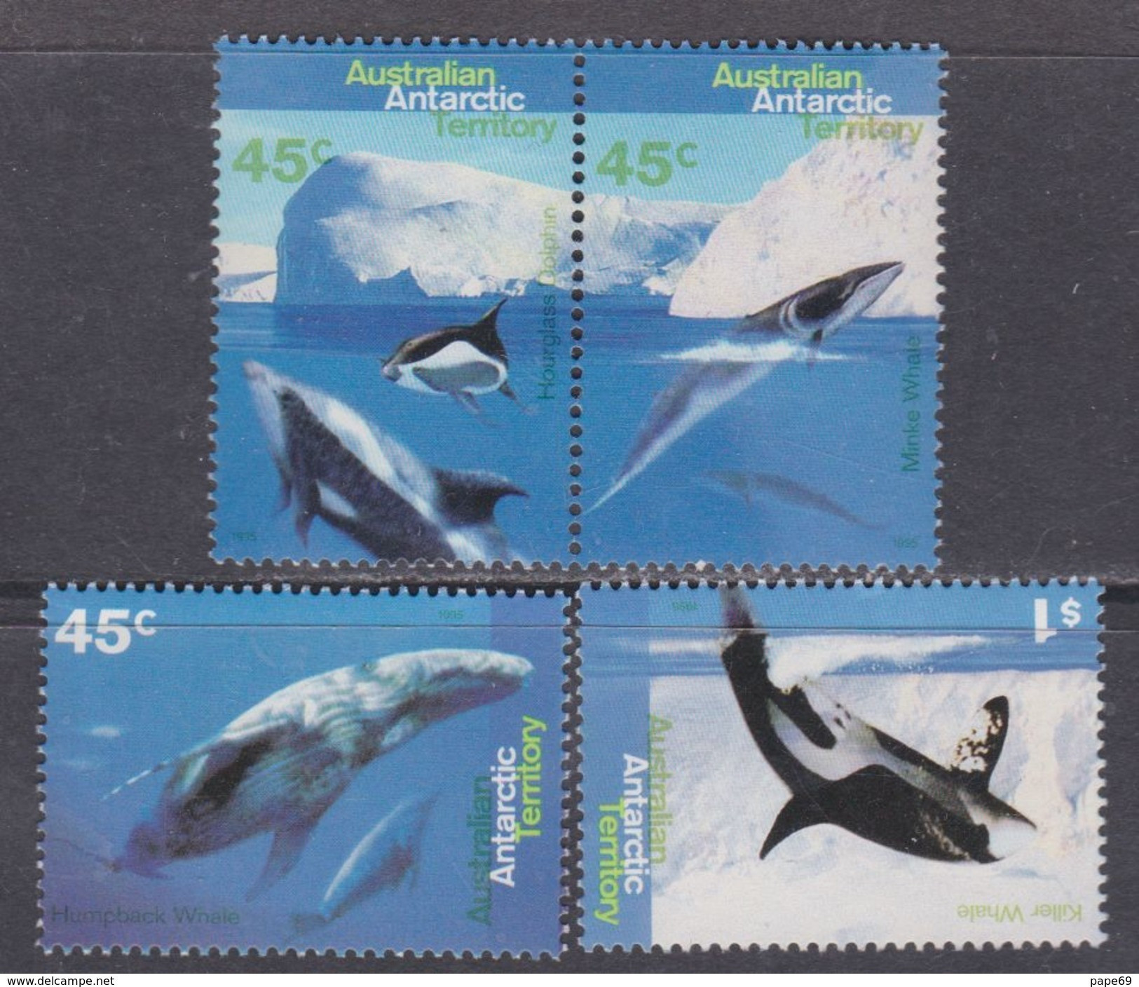 Antarctique Australien N° 102 / 05 XX  Faune Marine : Baleines Et Dauphins, Les 4 Valeurs Sans Charnière, TB - Andere & Zonder Classificatie