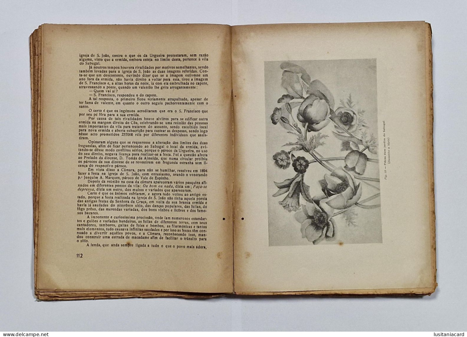 SABUGAL - MONOGRAFIAS -Terras De Riba-Côa-Memórias Sôbre O Concelho Do Sabugal. (Autor: Joaquim Manuel Correia - 1946) - Old Books