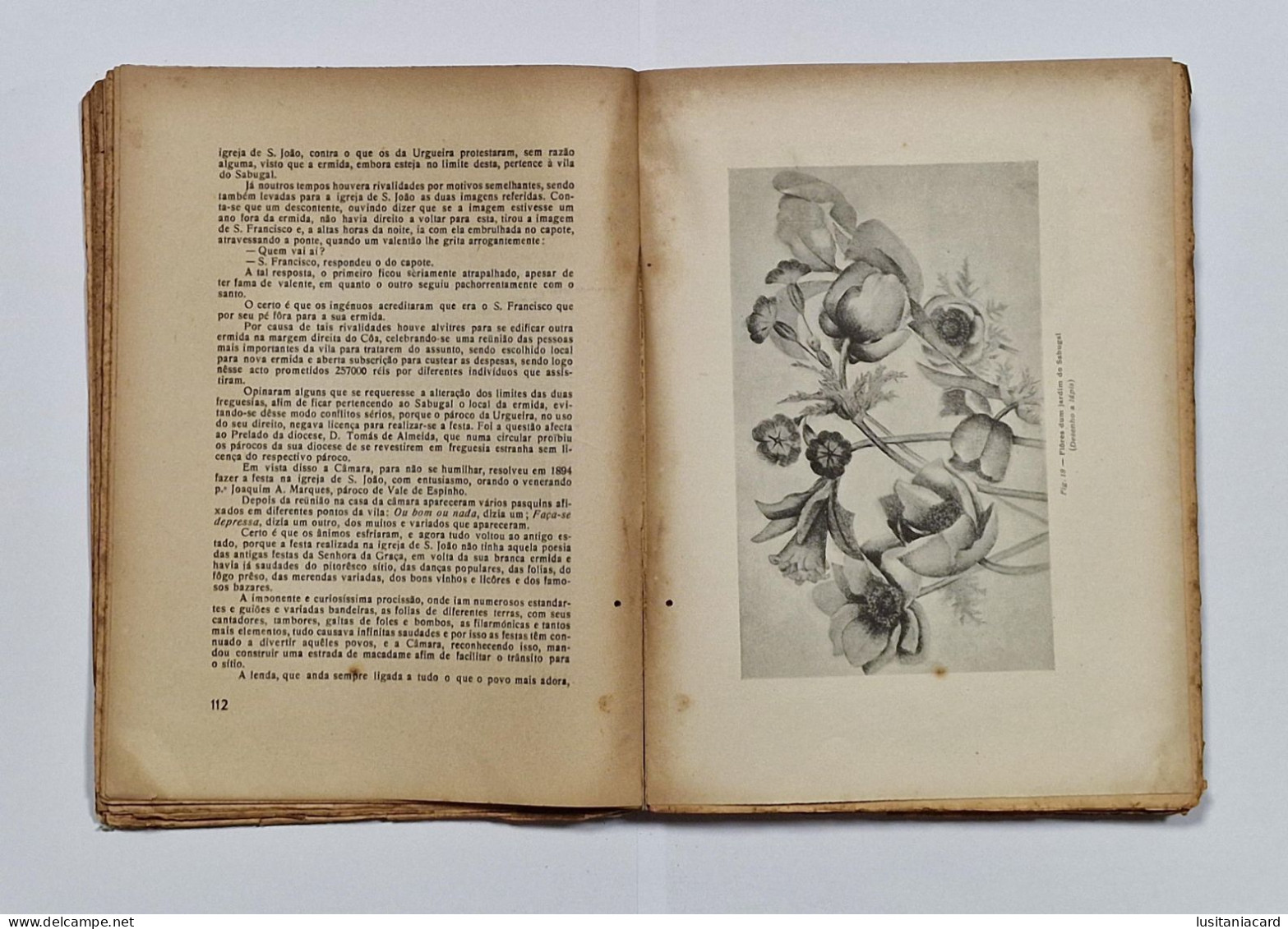 SABUGAL - MONOGRAFIAS -Terras De Riba-Côa-Memórias Sôbre O Concelho Do Sabugal. (Autor: Joaquim Manuel Correia - 1946) - Livres Anciens