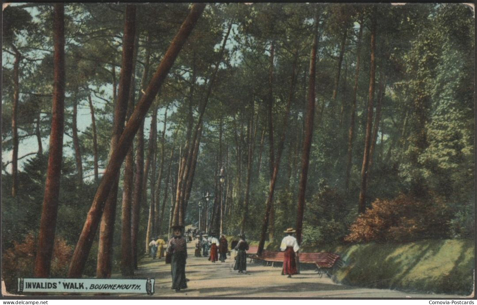 Invalids' Walk, Bournemouth, Hampshire, C.1905-10 - Regal Postcard - Bournemouth (until 1972)