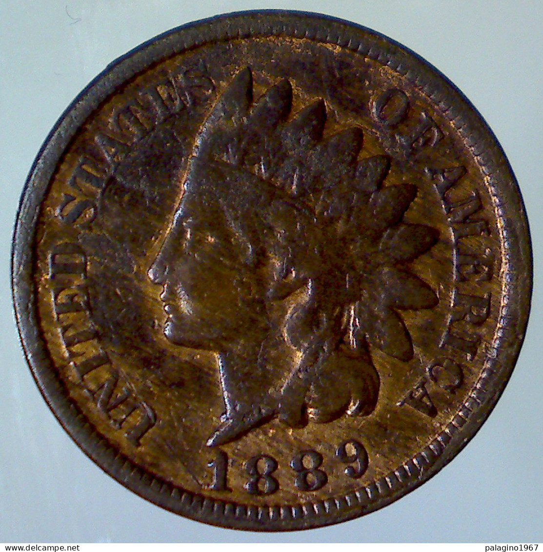 STATI UNITI D'AMERICA 1 Cent Indian 1889 QSPL  - 1859-1909: Indian Head