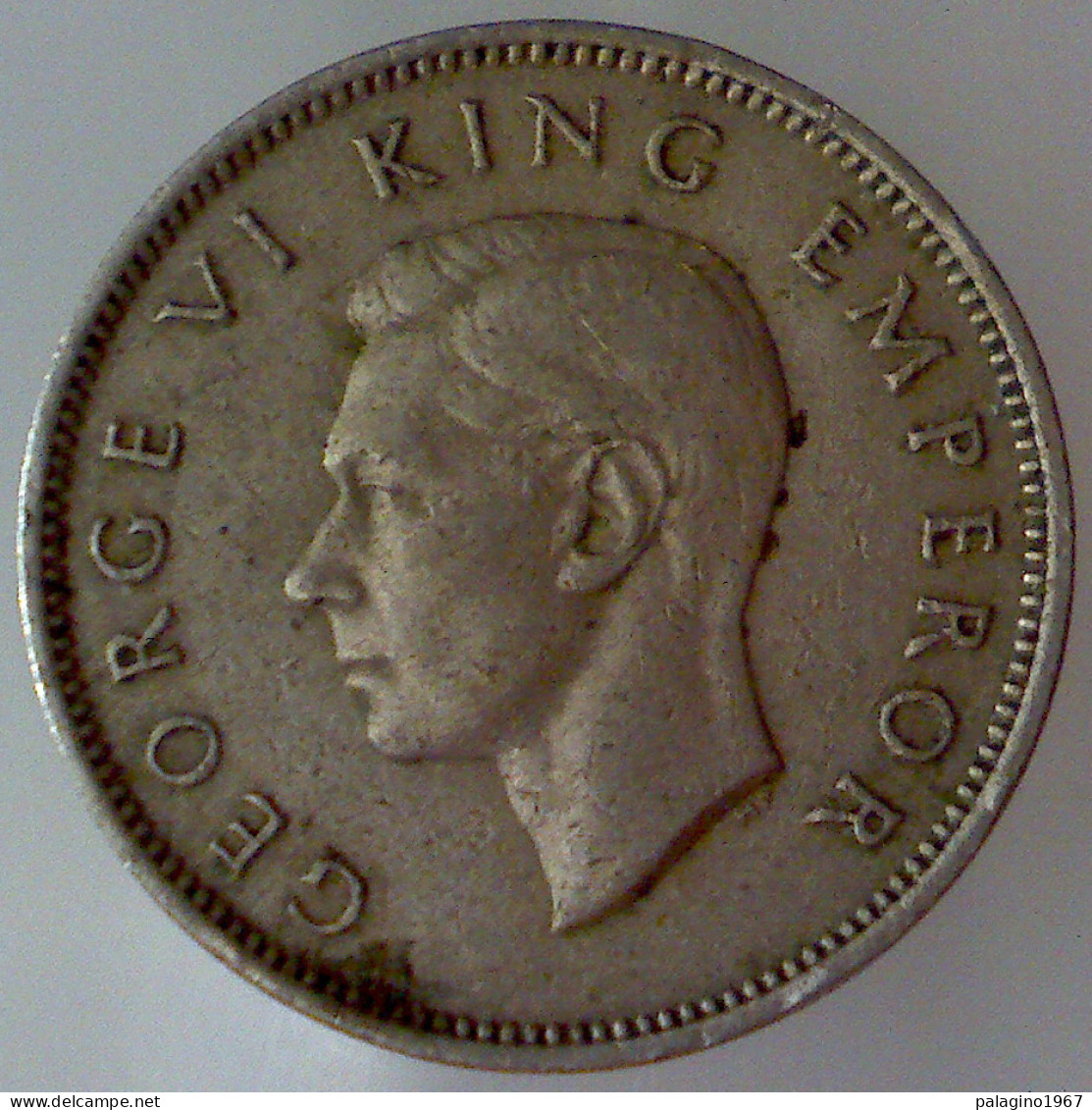 NUOVA ZELANDA 1 Shilling 1947 BB+  - New Zealand