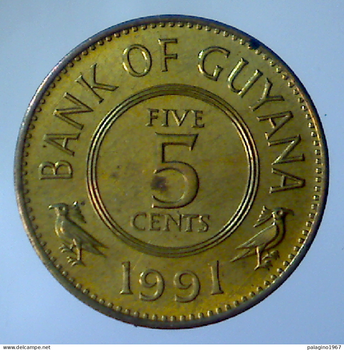 GUYANA 5 Cents 1991 FDC  - Autres – Amérique