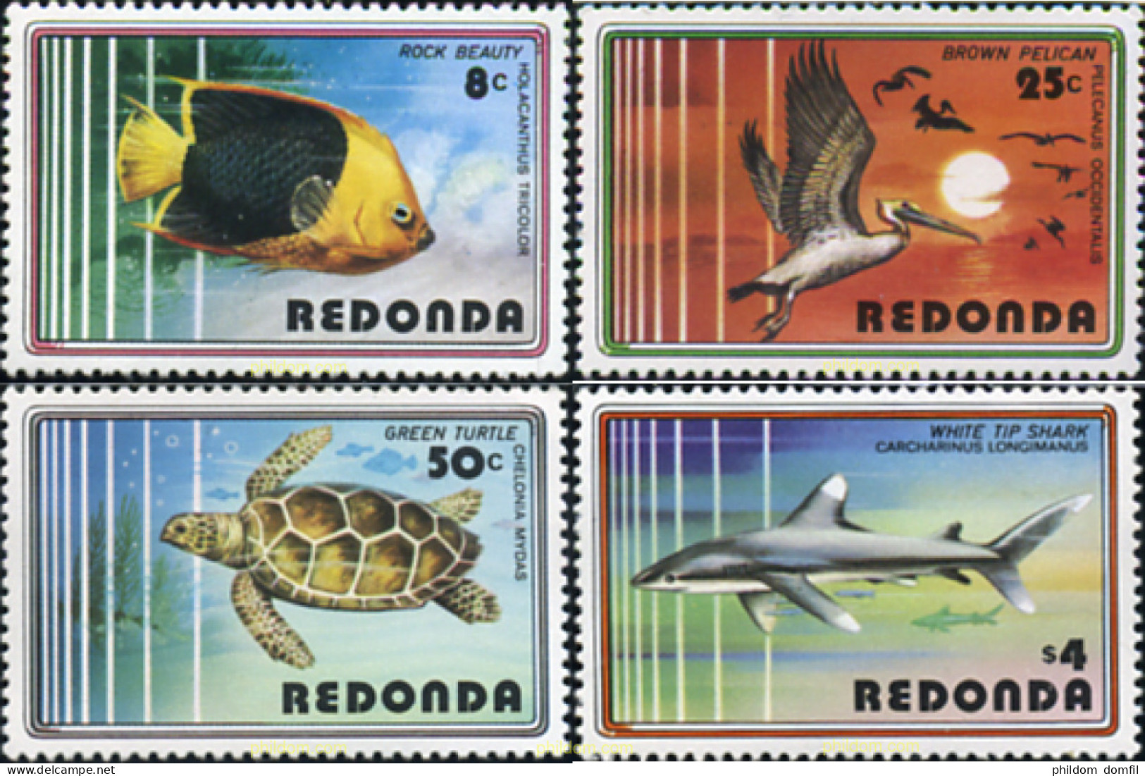 355134 MNH REDONDA 1980 FAUNA MARINA - Sonstige & Ohne Zuordnung