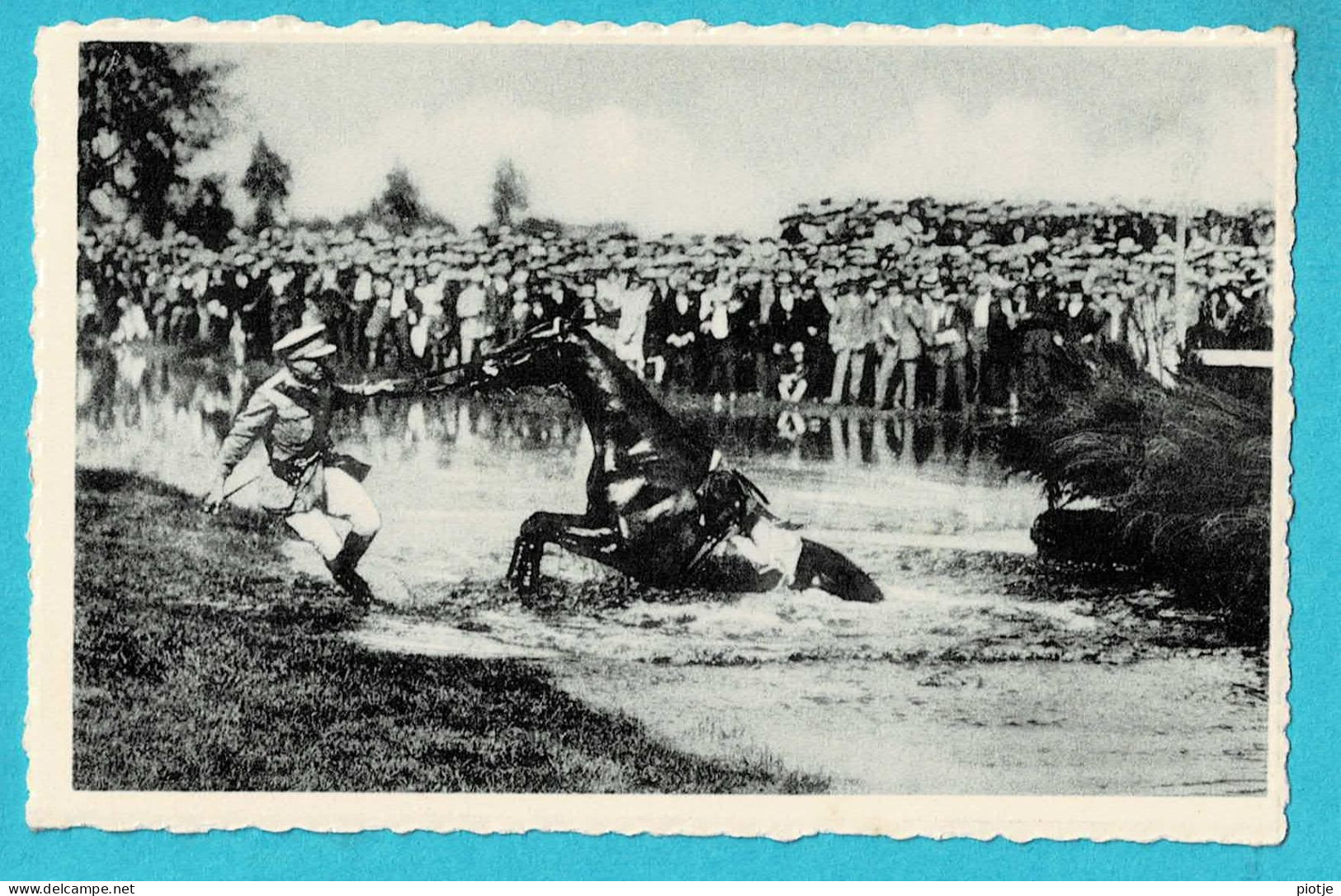 * Waregem - Waereghem (West Vlaanderen) * (Nels, Uitg Drukkerij Félix Bohez) 1957, Steeple Chase, Cheval, Course - Waregem