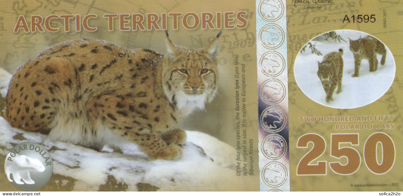 Territories Arctic 250 Polar Dollar 2017 UNC Polymer Le Lynx - Fictifs & Spécimens