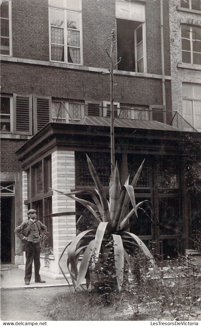 BELGIQUE - Waremme - Paul Jacques Houssa Notaire à Waremme - Carte Postale Ancienne - Borgworm