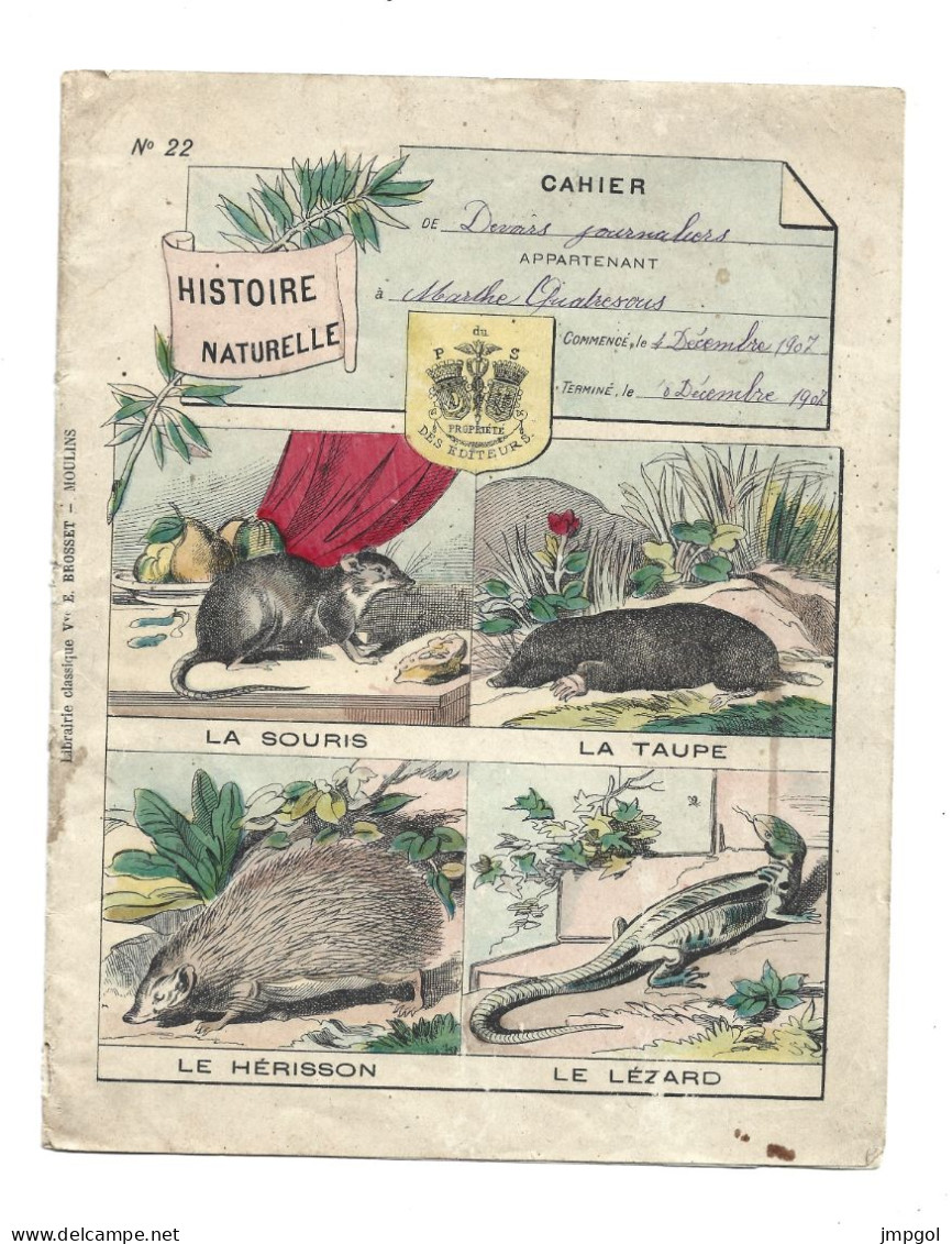 Couverture Cahier Histoire Naturelle Souris Taupe Lézard Hérisson Librairie Veuve Brosset Moulins Vers 1900 - Protège-cahiers