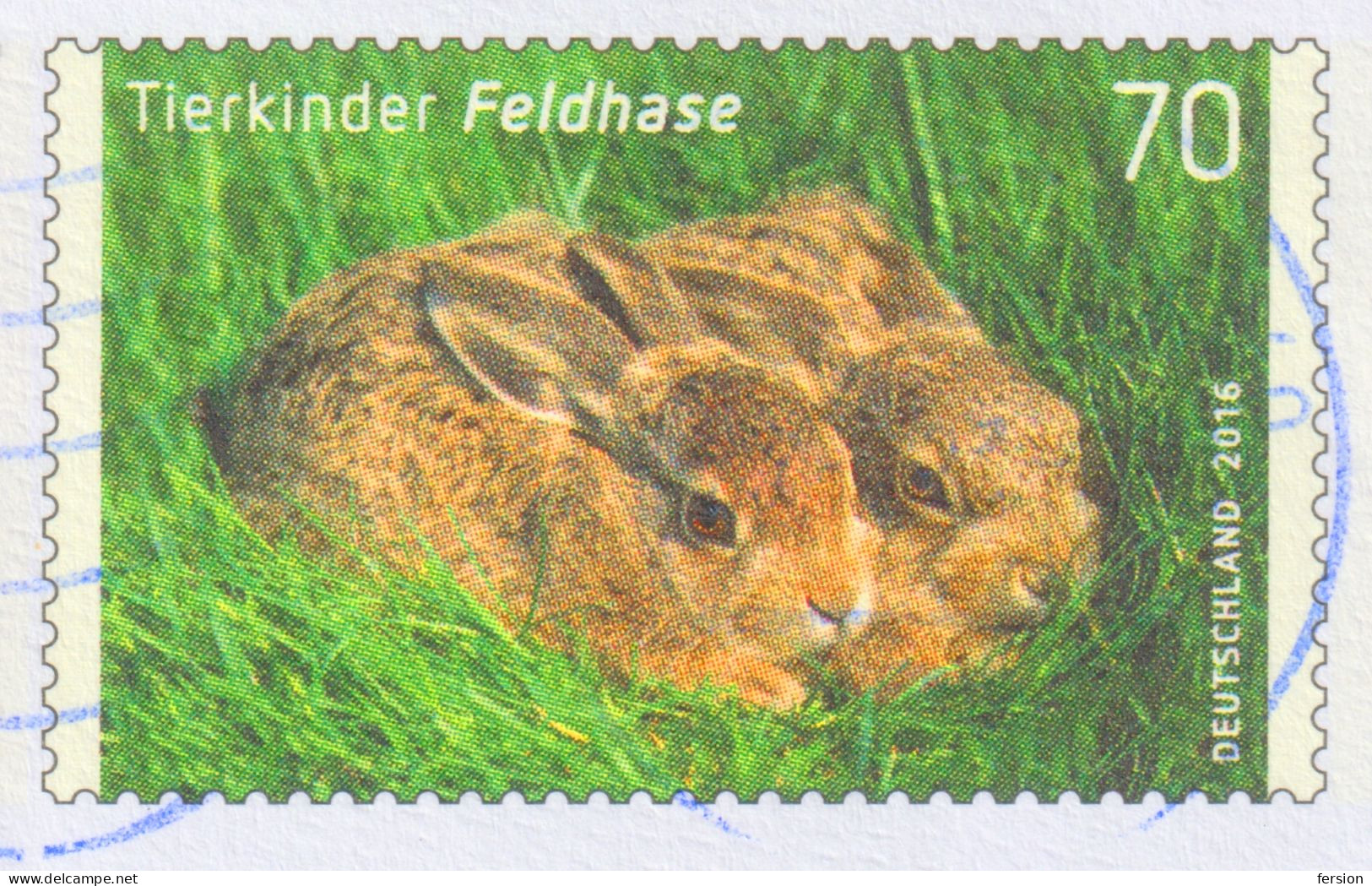 RABBIT Germany 2016 STATIONERY Cover Philatelic Exhibition München Börse Tierkind Feldhase Leberblümchen FLOWER 2005 - Lapins