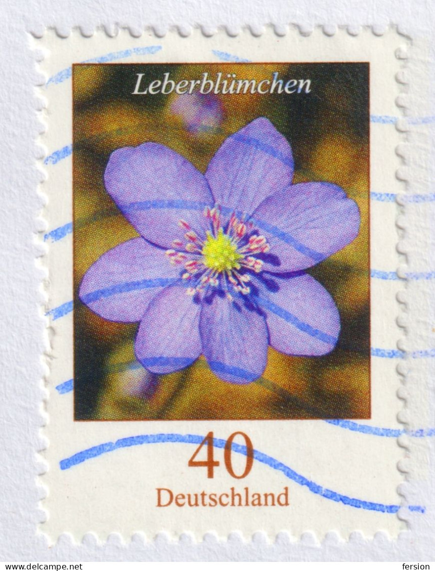 RABBIT Germany 2016 STATIONERY Cover Philatelic Exhibition München Börse Tierkind Feldhase Leberblümchen FLOWER 2005 - Lapins