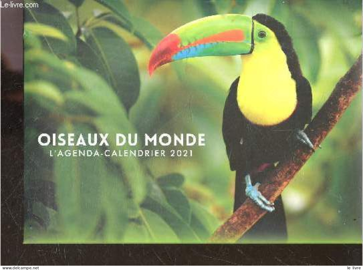 L'Agenda Calendrier 2021 Oiseaux Du Monde - Schaller Gérard - 2020 - Agenda Vírgenes