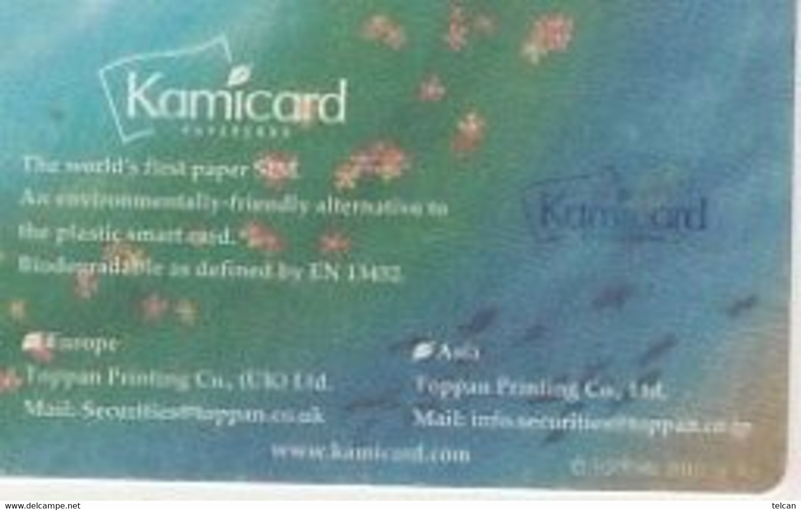 KAMICARD  Premiére Carte En Papier Shintoiste 2010     Toppan Japonais     2 Scans    Biodegradale !! - Cartes De Salon Et Démonstration