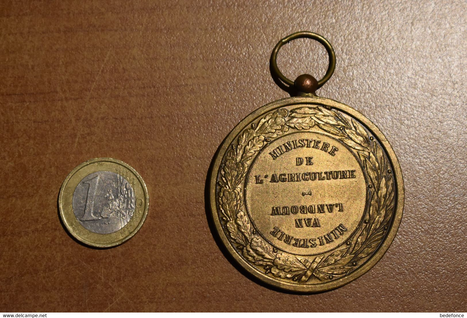 Médaille Tête De Cheval - Ministère De L'agriculture - Autres & Non Classés