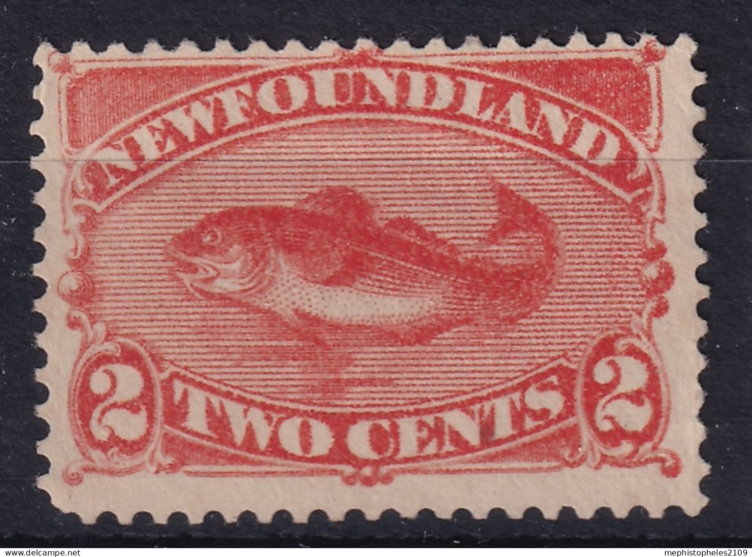 NEWFOUNDLAND 1887 - MNG - Sc# 48 - 1865-1902
