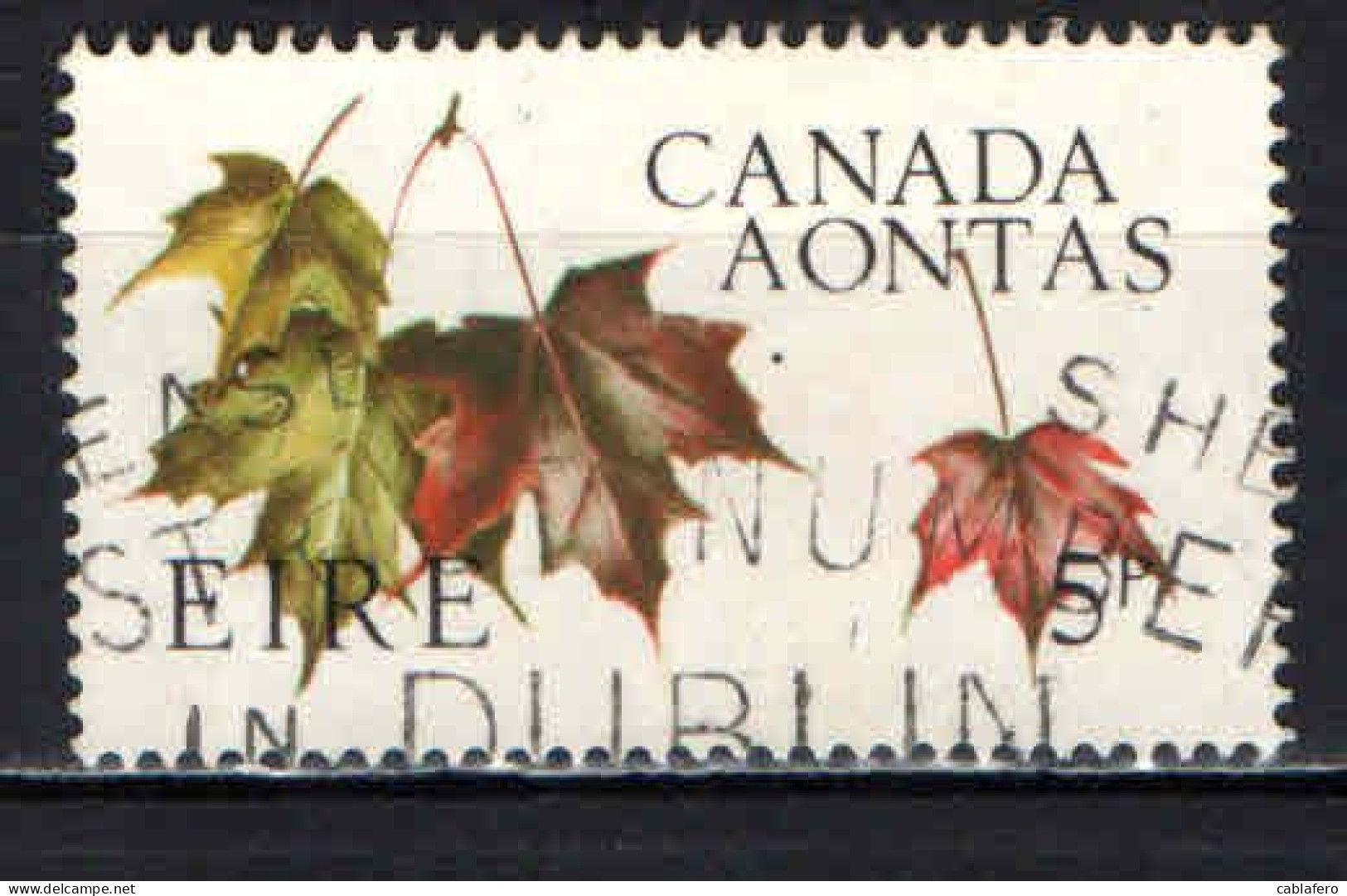 IRLANDA - 1967 - CENTENARIO DELLA FEDERAZIONE CANADESE - FOGLIE D'ACERO - USATO - Used Stamps