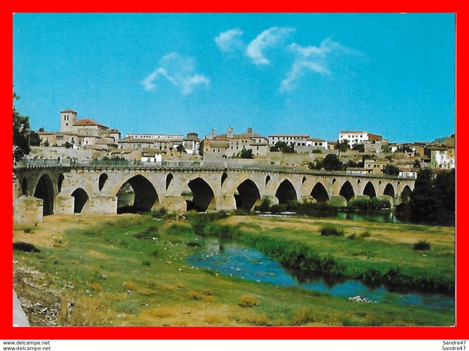 CPSM/gf  ZAMORA (Espagne)   Pont Sur Le Duero Et Vue Partielle..*7916 - Zamora