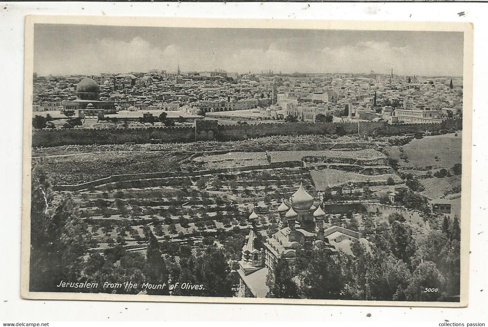 Cp, PALESTINE, JERUSALEM From The Mount Of Olives, Vom Oelberg Gesehen, Vierge, By Lehnert & Landrock Succ. - Palestine
