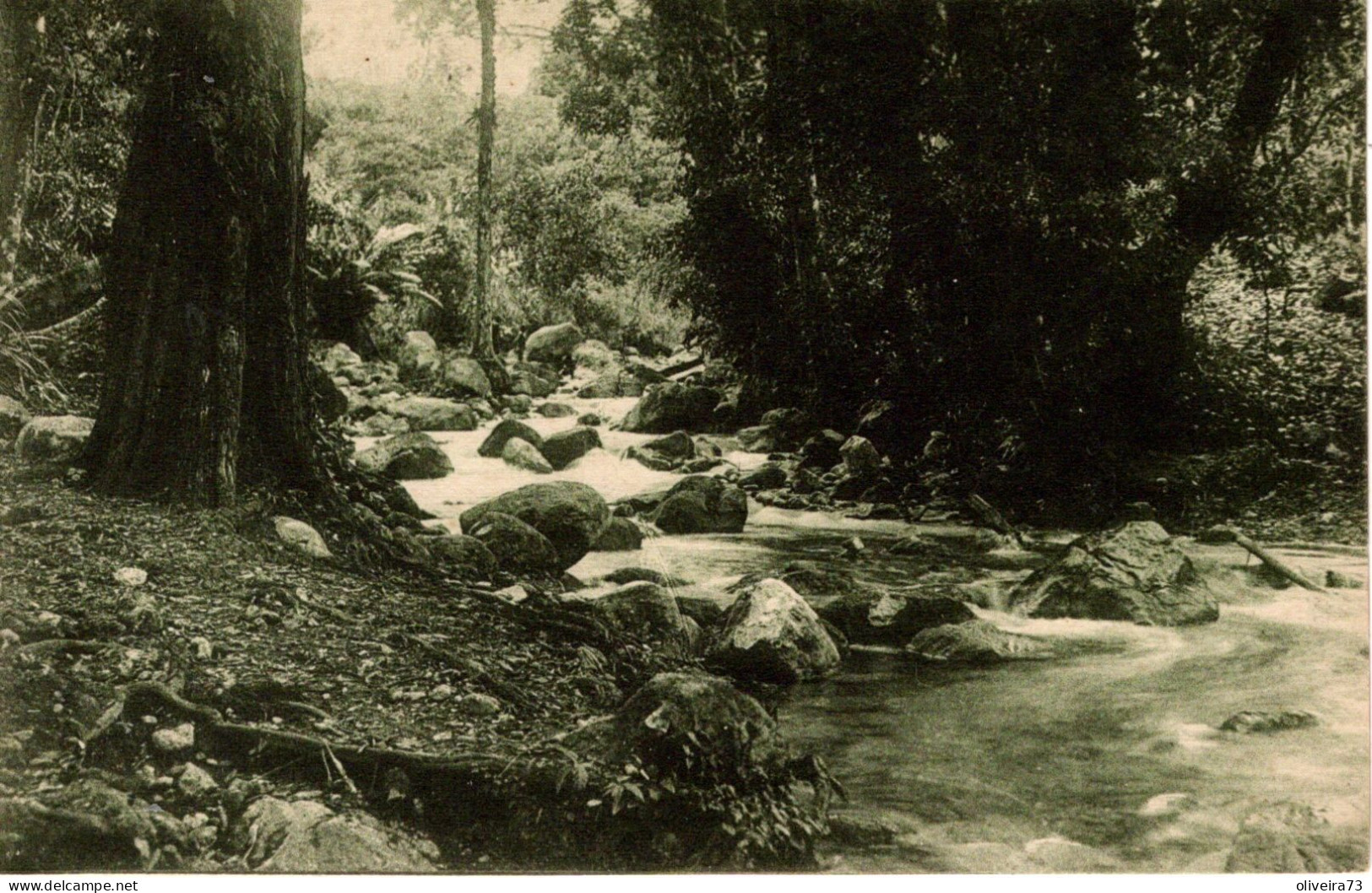 TIMOR PORTUGUÊS - Trecho De Uma Ribeira No Interior - Oost-Timor