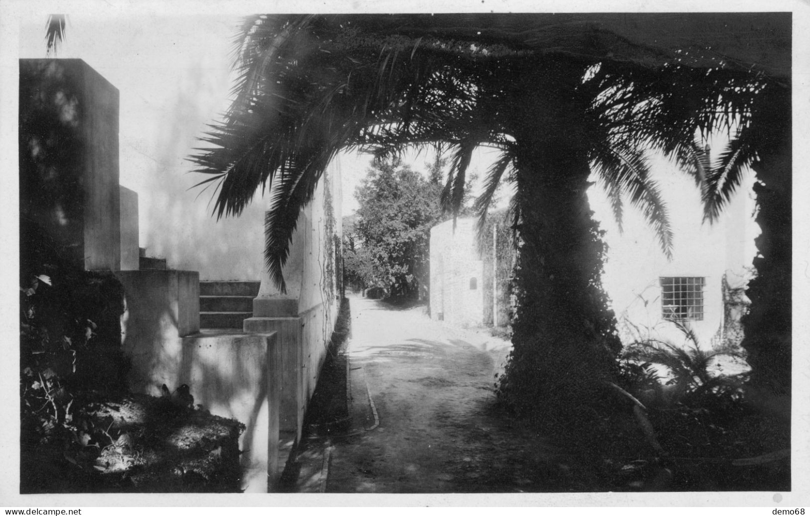 Afrique Du Nord Algérie Alger Villa Abdel T.. Entrée Des Ateliers D'Artistes Photo Glacée Belle Carte N/B CPSM - Alger