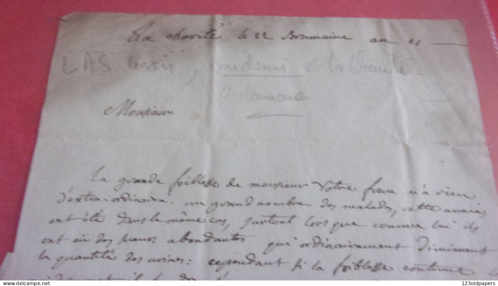 LA CHARITÉ  LOIRE  22 BRUMAIRE AN 12 1803 ORDONNANCE MEDECIN LISON A PAILLARD NOTAIRE AU  POIDS DE FER JOUET SUR AUBOIS - Manuscritos