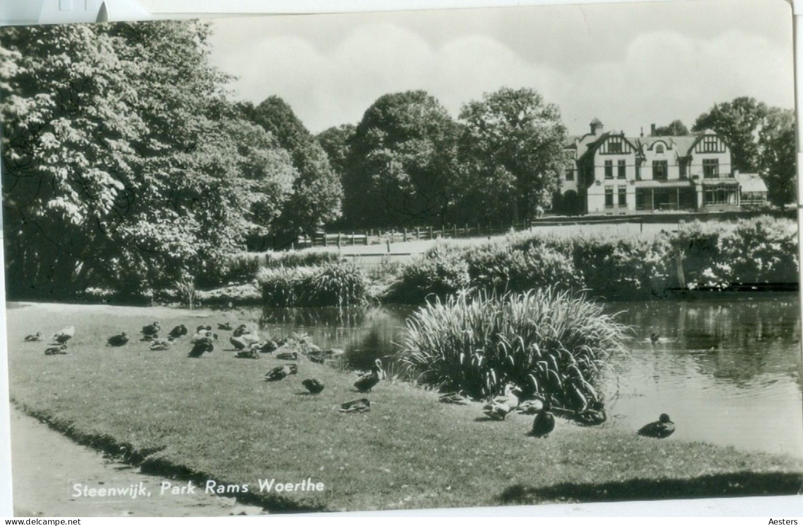 Steenwijk 1963; Park Rams Woerthe - Gelopen. (L.U.S.) - Steenwijk