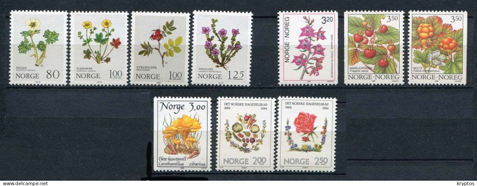 Norway 10 Stamps - FLOWERS. ALL MINT** - Collections